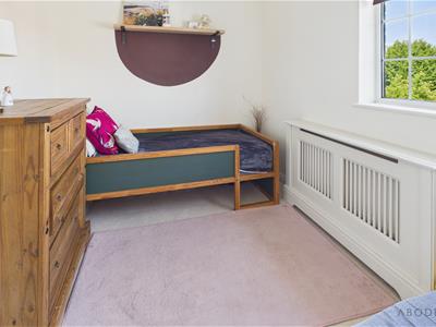 Picture 17
